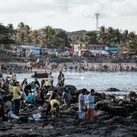 Petróleo nas praias do Nordeste: Entenda os detalhes de um dos maiores crimes ambientais do mundo