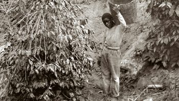 Documentário brasileiro A Morte Branca do Feiticeiro Negro ganha prêmio internacional