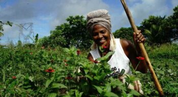 Erradicação da Pobreza: agricultora afroecológica, Luiza Cavalcante defende a agroecologia como possível saída