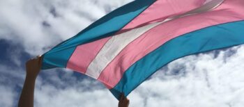 A representação trans nos espaços que formam a sociedade