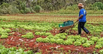 Associação Quilombola Santo Antônio e Vidal promove 7ª Feira de Sustentabilidade Quilombola no Recôncavo Baiano