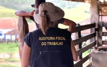 Brasil resgata 593 trabalhadores(as) em situação análoga a escravidão