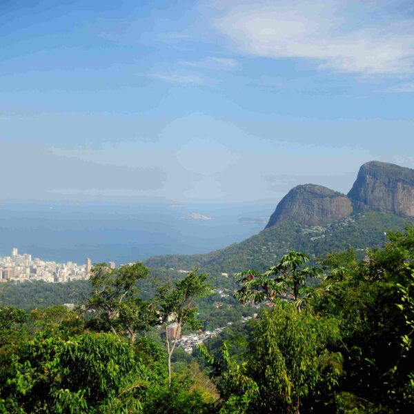 Escravizados que replantaram a Floresta da Tijuca são reconhecidos como heróis e heroínas do Rio de Janeiro