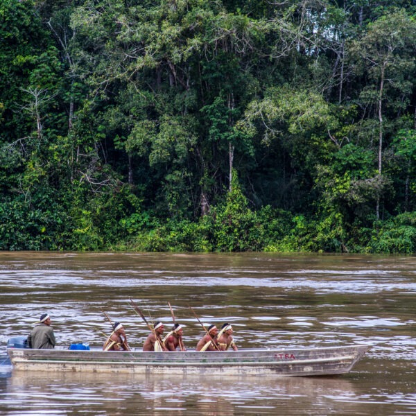 Povo Korubo é alvo de proselitismo religioso através de rádios de organização americana, em território indígena de acesso proibido