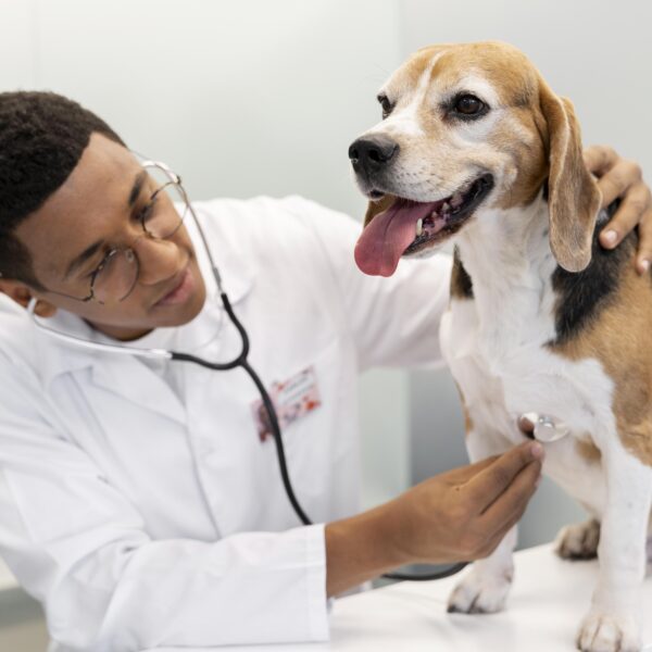Simpósio afrocentrado em Medicina Veterinária promove protagonismo negro