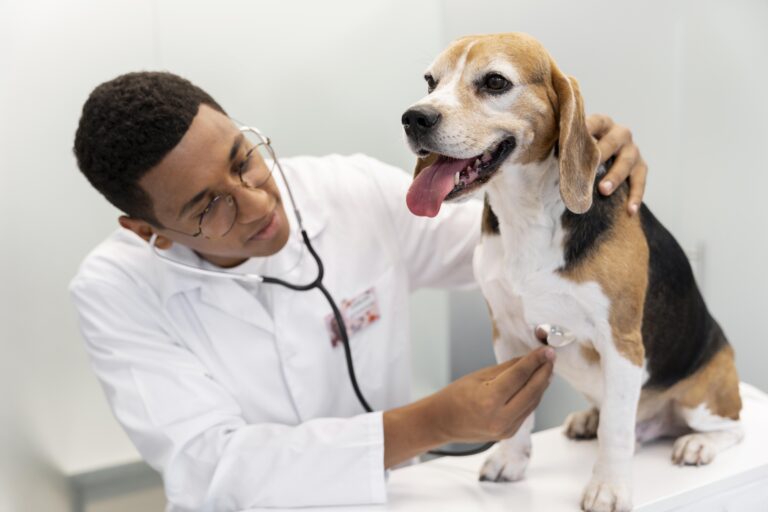 Simpósio afrocentrado em Medicina Veterinária promove protagonismo negro