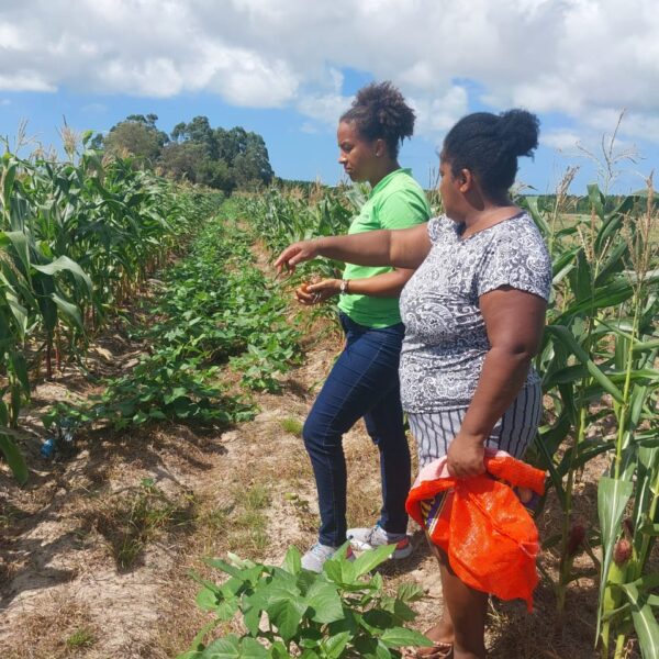 Documentário retrata o impacto do racismo ambiental na vida das mulheres quilombolas