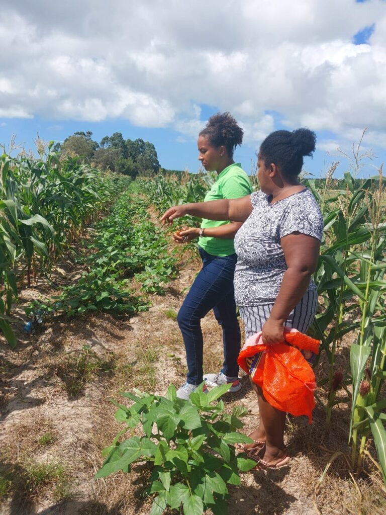 Documentário retrata o impacto do racismo ambiental na vida das mulheres quilombolas