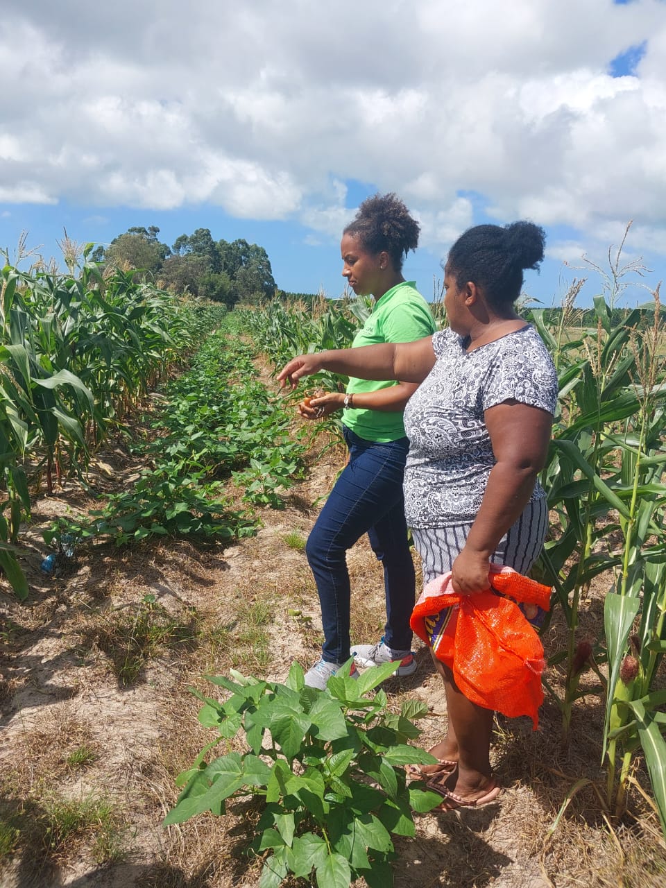 Documentário retrata o impacto do racismo ambiental na vida das mulheres quilombolas