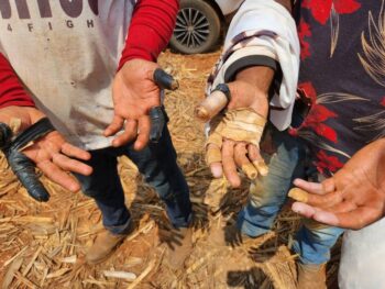 Brasil registra novo recorde de denúncias de trabalho análogo à escravidão em 2025