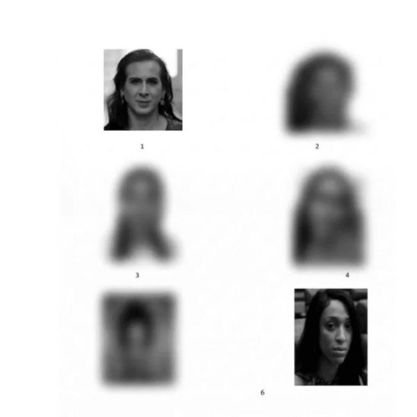 Deputadas Duda Salabert e Erika Hilton aparecem em lista de suspeitos da Polícia de Pernambuco