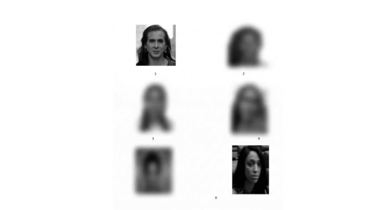 Deputadas Duda Salabert e Erika Hilton aparecem em lista de suspeitos da Polícia de Pernambuco