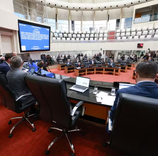 Após STF derrubar proibição, Santa Catarina volta a discutir projeto de lei que visa limitar acesso às políticas de cotas no estado