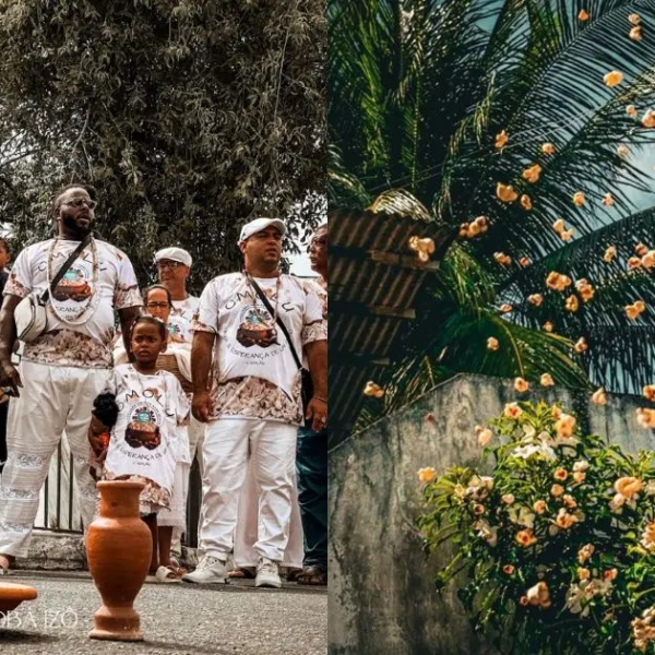 Museu de Arte da Bahia recebe exposição “Flores Que Curam” em Salvador